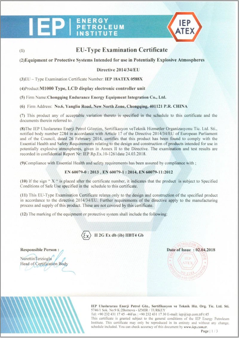 ATEX-Electronic Controller